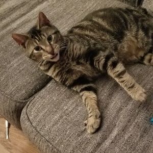 Meet your Posher, Grace